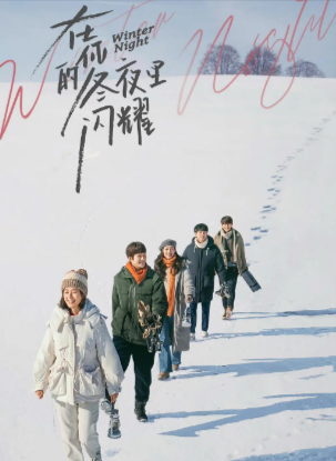 [夸克网盘]《在你的冬夜里闪耀》（2022年）